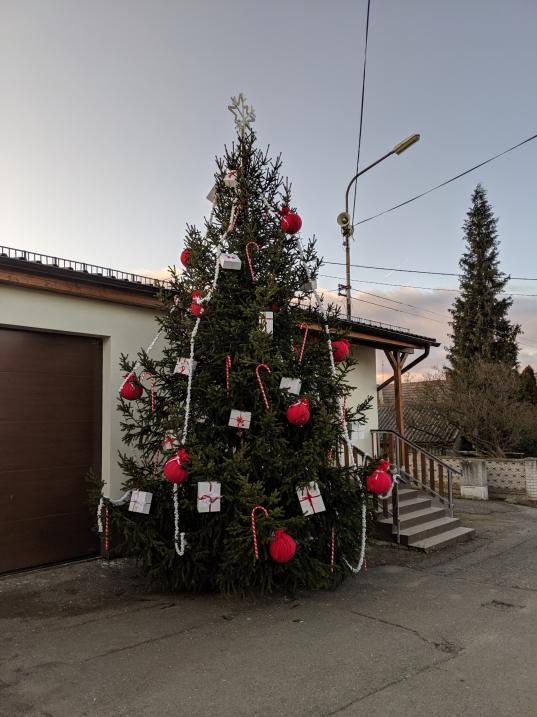 Vánoční strom v Hoděmyšli